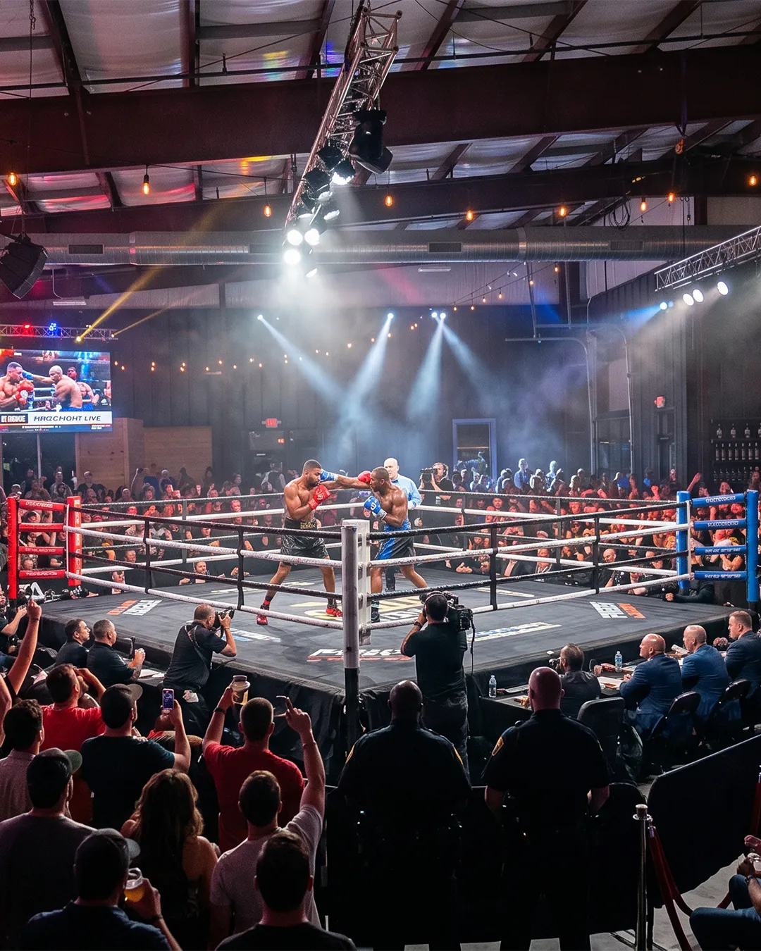 Fight Night: Summer Knockout